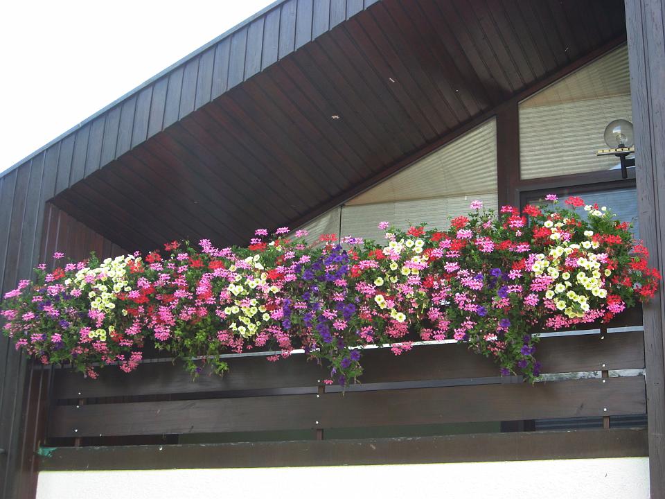 Blumenschmuckbewertung 2015