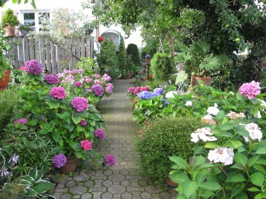 Blumenschmuckbewertung 2011 Pommerenke/Bauder, Birkenweg 28