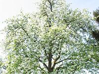 IMG_5032