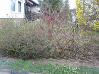 IMG_1274