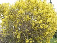 IMG_1275