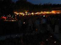 IMG_0252