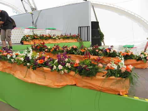 Gärtner-Wettbewerb Wettbewerb der Gärtnerinnung