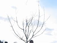 IMG_2804