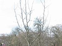 IMG_2806