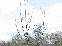 IMG_2807