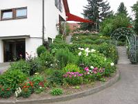 IMG_2023 Körper, Augustinerweg 14, Vorgarten 28 Punkte