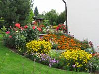 IMG_2030 Hoppe, Augustinerweg 4, Vorgarten 30 Punkte