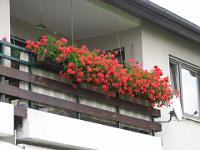 IMG_4682 Grigereit, Forchenweg 6/1, Balkon 28 Punkte