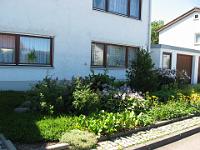 IMG_6795 Straub, Steinhirtstr. 24, Vorgarten 26 Punkte