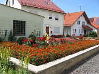IMG_8645 Fink Elisabethe, Birkelweg 6, Sontheim, Vorgarten 2. Preis