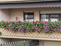 IMG_0002 Hagstotz, Ahornweg 9 (unten), Balkon 3. Preis