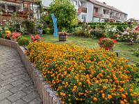 IMG_0005 Bartesch , Albuchstr. 72, Vorgarten 1. Preis