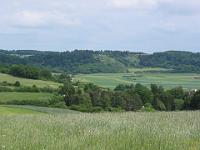 IMG_5148