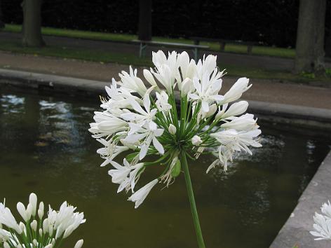 Botanischer Garten, Hannover 2003