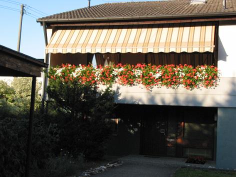 Blumenschmuckbewertung 2003